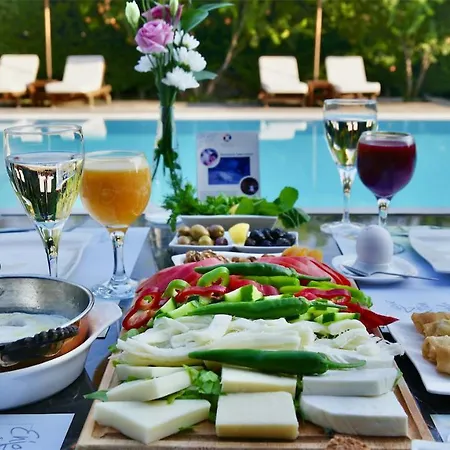 Hotel Renka & Spa 3*