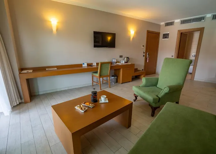 Hotel Renka & Spa 2*