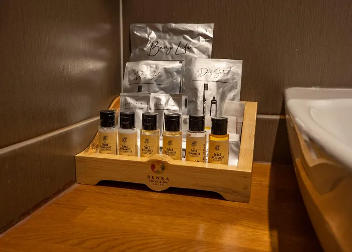 Renka & Spa Hotel 2*