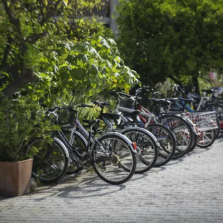 מלון Renka & גוג'ק